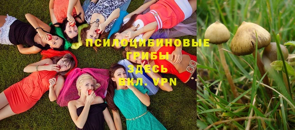 герыч Няндома