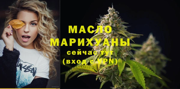 сатива Новокубанск