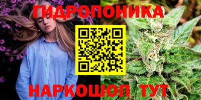 крисы Бийск