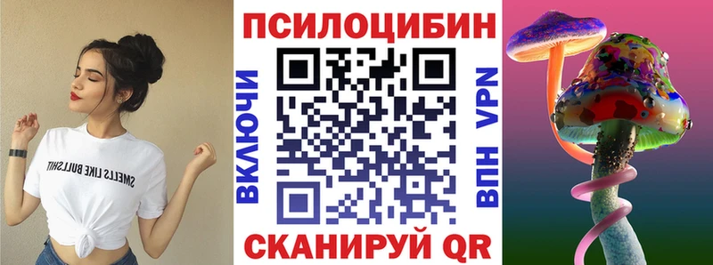 Галлюциногенные грибы Psilocybe  Армавир 