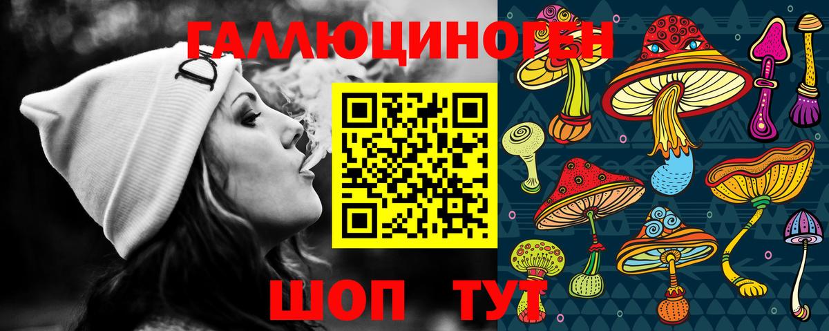 Псилоцибиновые грибы мицелий  Вход с VPN  Армавир  Псилоцибиновые грибы Psilocybe 
